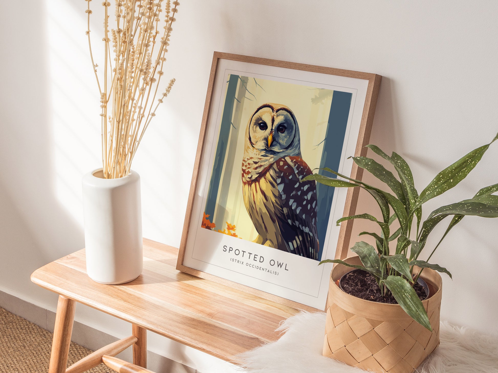 Spotted Owl Poster | Mysterious Forest Raptor Fine Wall Art — styled in a modern interior