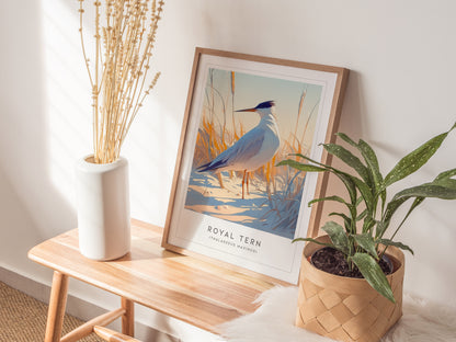 Royal Tern Poster | Beach Bird Art Coastal Decor | Birdwatching Gift