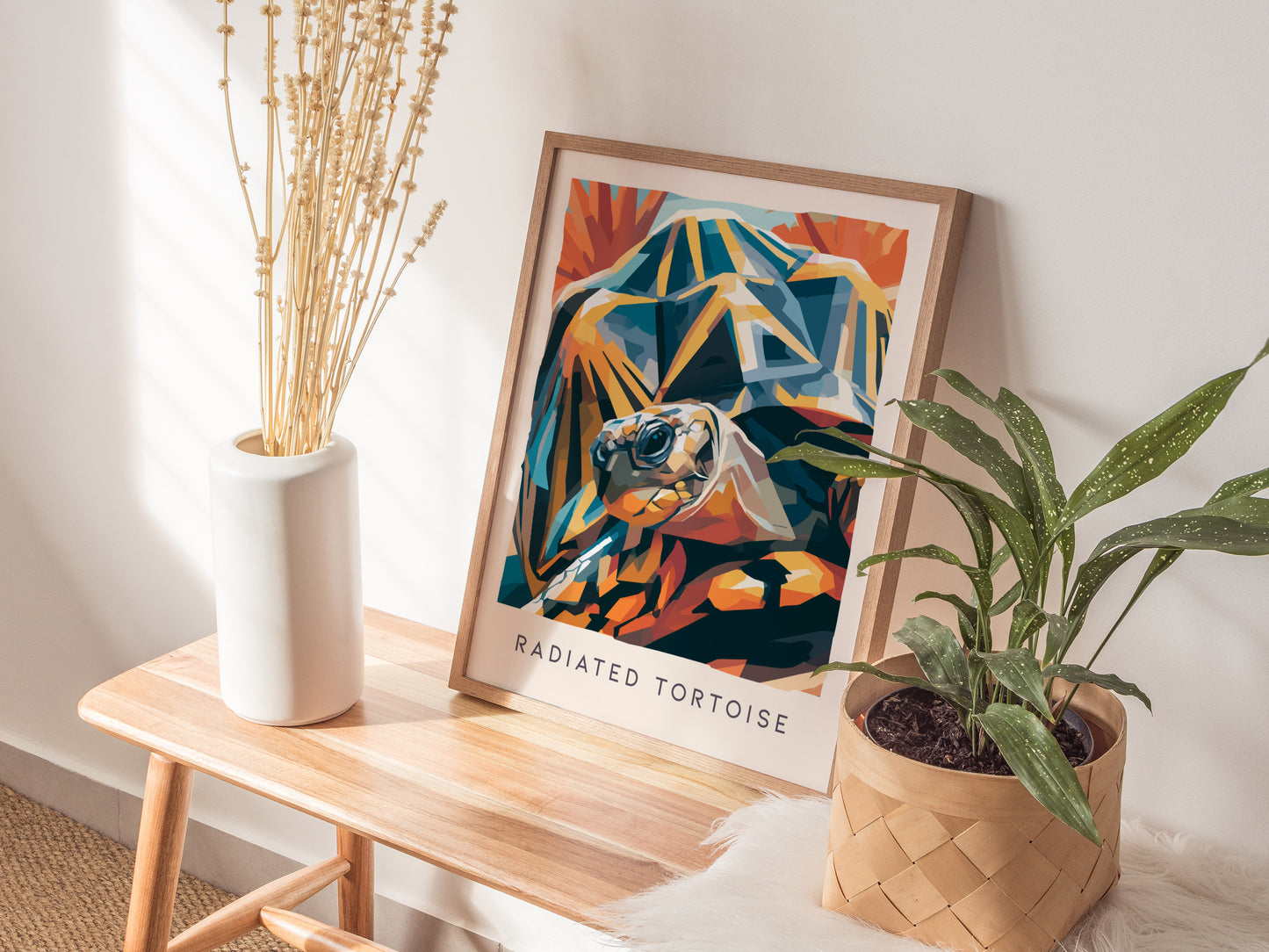 Radiated Tortoise Poster | Exotic Wildlife Portrait Fine Wall Art — styled in a modern interior