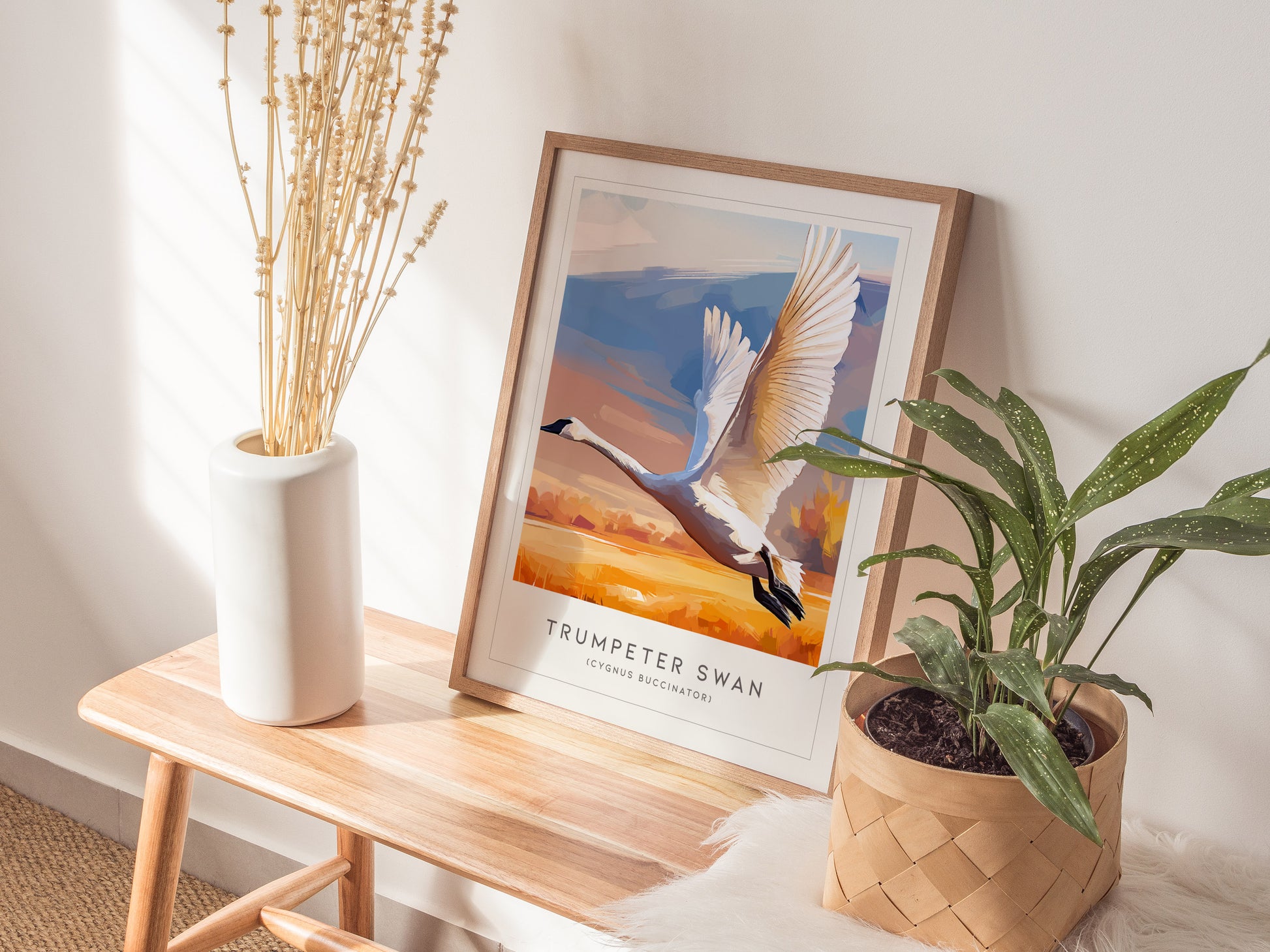 Trumpeter Swan Poster | Elegant Waterbird in Winter Calm Wall Art — styled in a modern interior