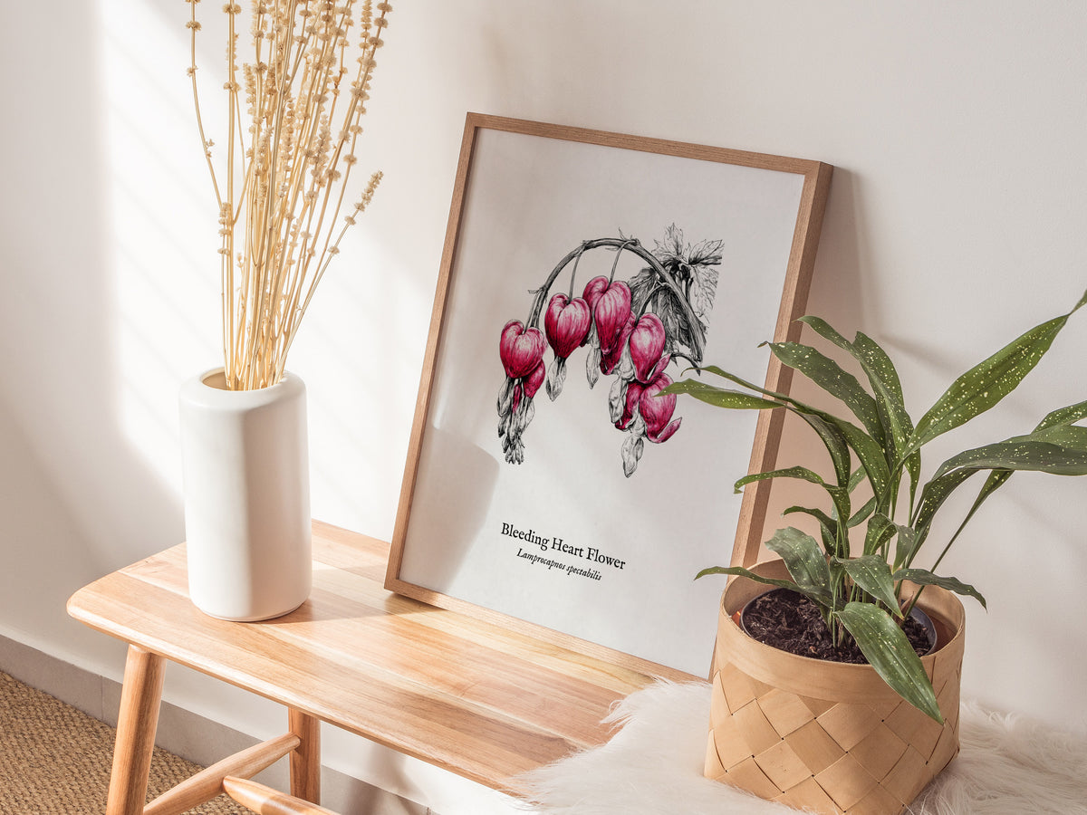Bleeding Heart Flower Poster | Lamprocapnos spectabilis Pen and Ink Print Botanical Illustration Wall Art — styled in a moder