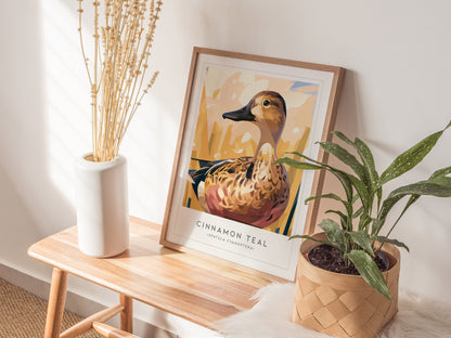 Cinnamon Teal, Spatula cyanoptera Poster | Vibrant Wetland Bird Wall Art — styled in a modern interior