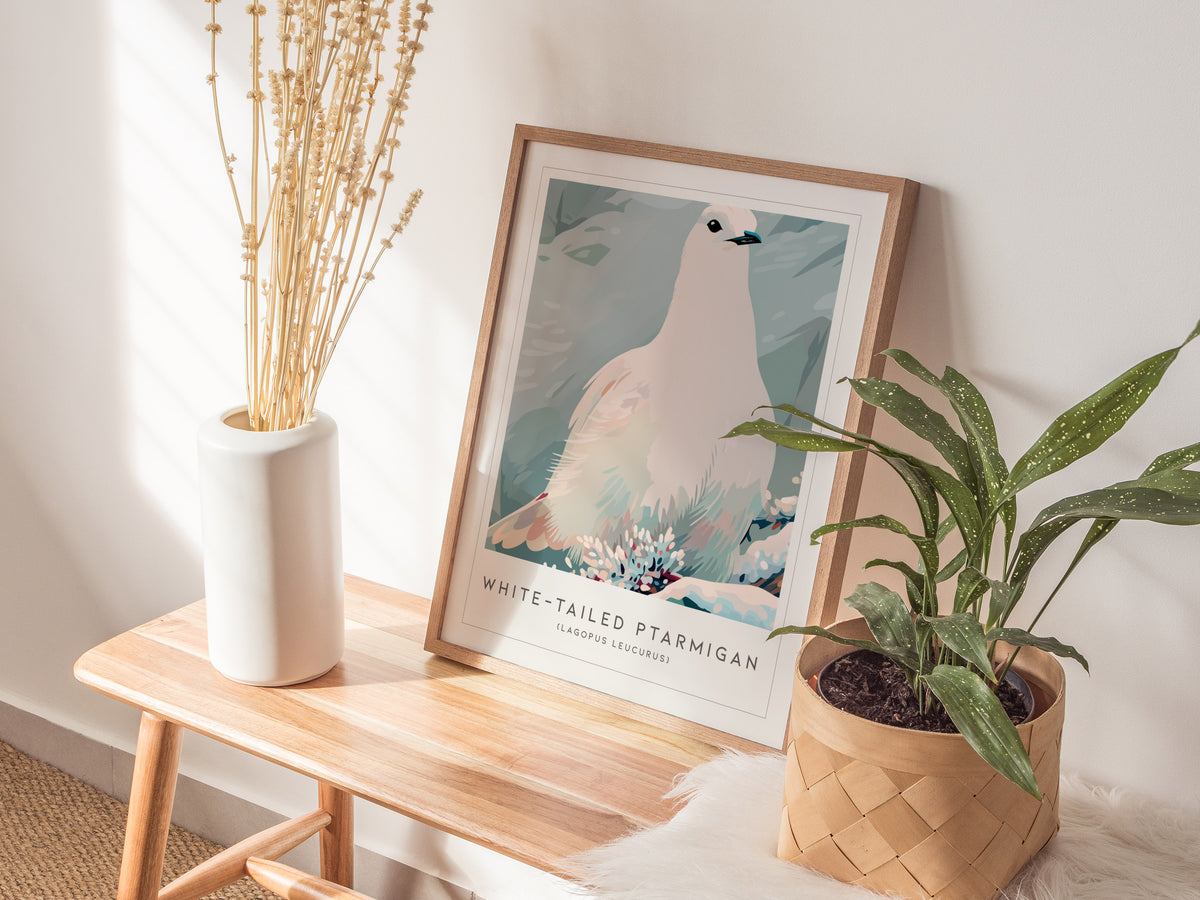 White-tailed Ptarmigan, Lagopus leucurus Poster | Alpine Bird Wall Art — styled in a modern interior