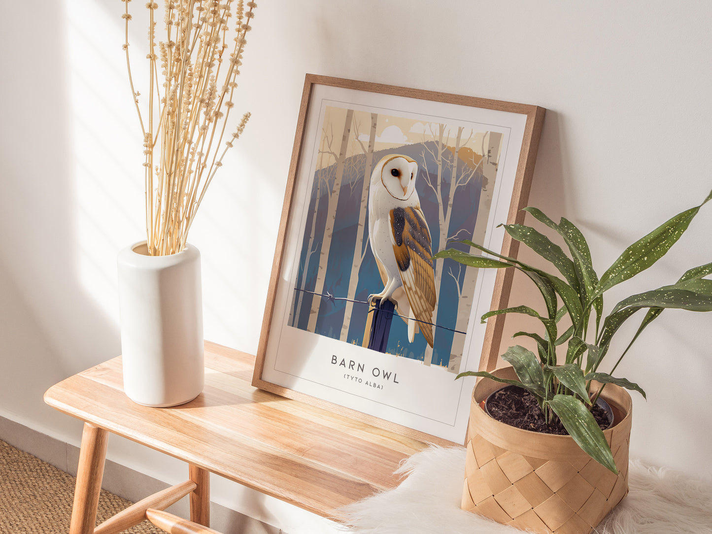 Barn Owl Audubon Print | Bird Lover Wildlife Wall Art | Framed or Unframed