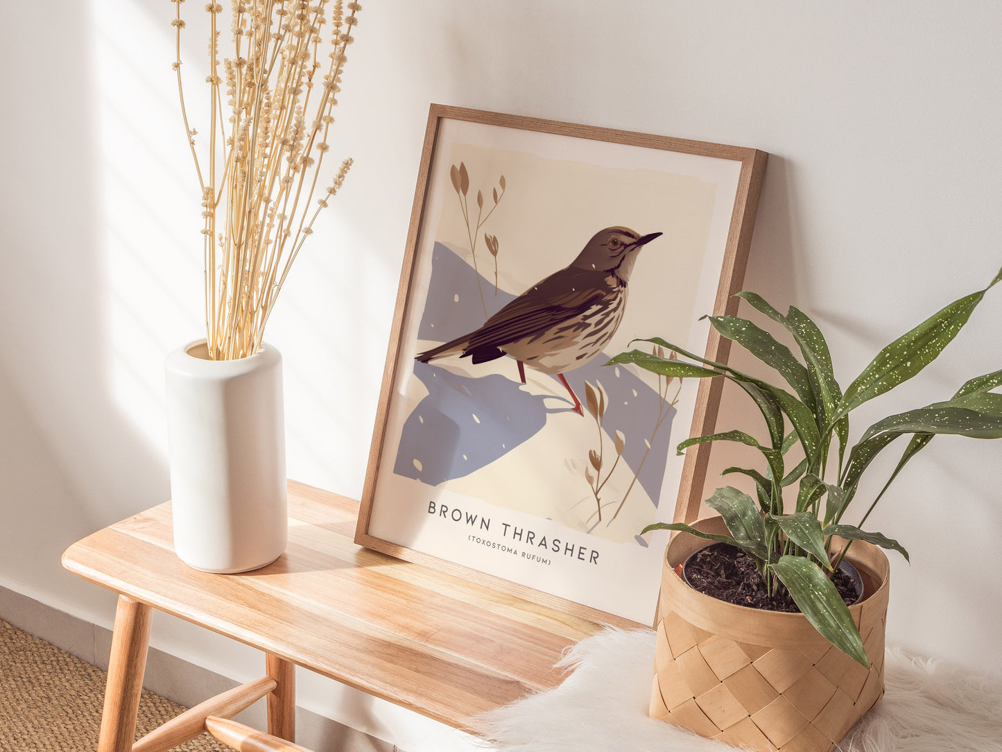 Brown Thrasher Audubon Print | Modern Bird Lover Wall Art | Framed or Unframed
