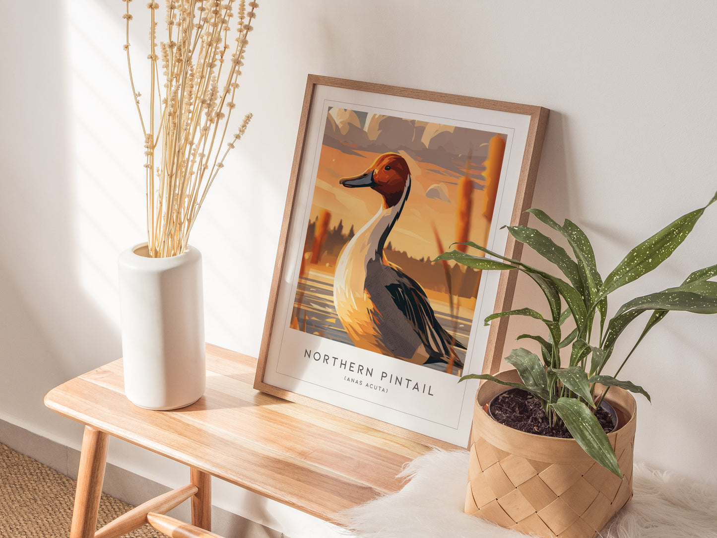 Northern Pintail, Anas acuta Poster | Elegant Waterfowl Bird Wall Art — styled in a modern interior