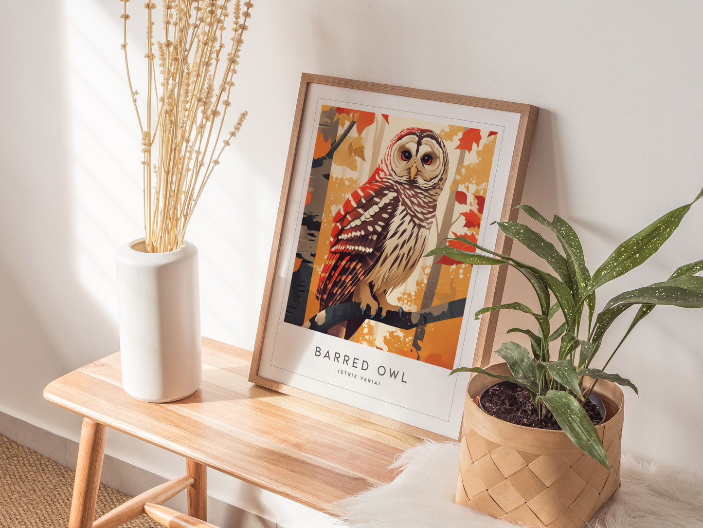 Barred Owl Framed Poster | Hoot Owl Nature Bird Lover Nature Modern Wall Art | Bird Of Prey Audubon Print Farm House Decor