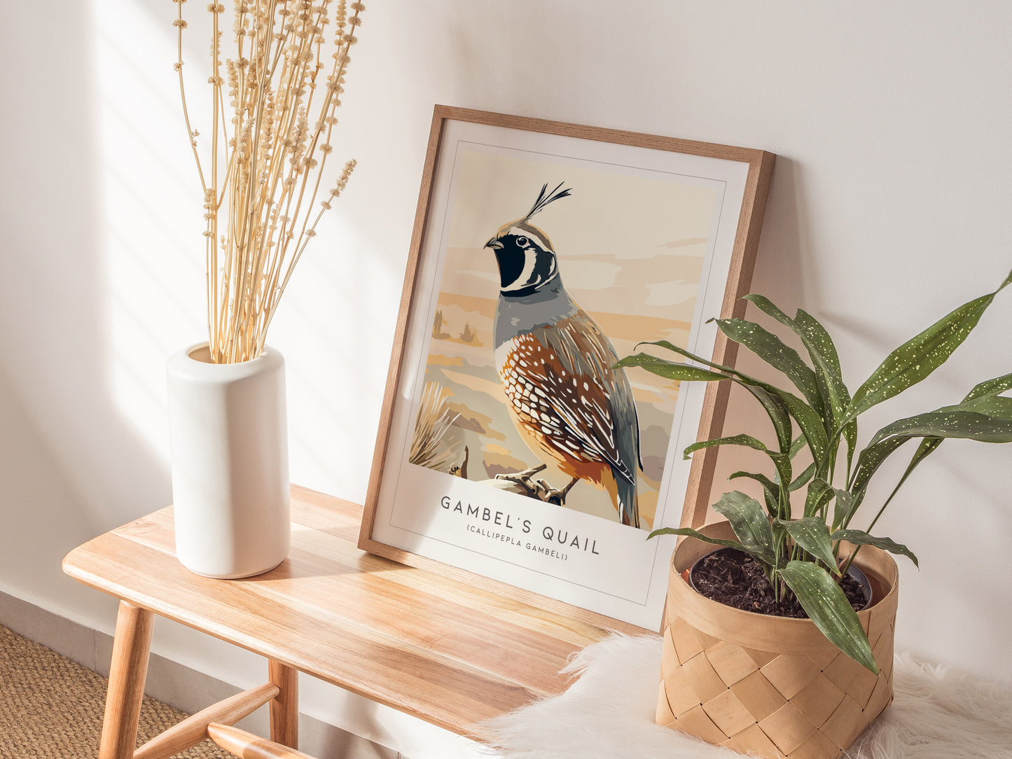 Gambel's Quail, Callipepla gambeli Poster | Desert Bird Wall Art Wildlife Print — styled in a modern interior