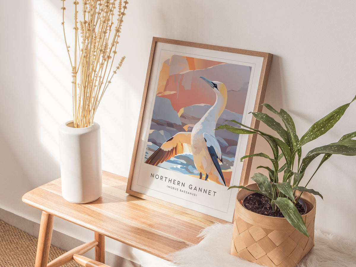Northern Gannet, Morus bassanus Poster | Striking Seabird Wildlife Print Wall Art — styled in a modern interior
