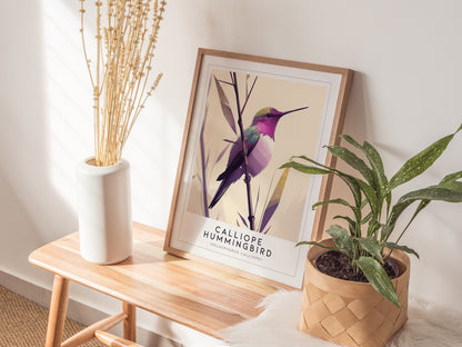 Calliope Hummingbird Audubon Print | Bird Lover Wall Art | Framed or Unframed