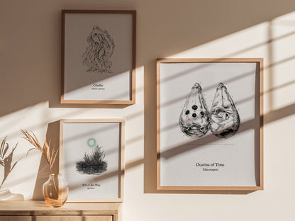 Ocarina of Time Poster | Tibia temporis Vintage Pen and Ink Print Scientific Illustration Wall Art — styled in a modern inter