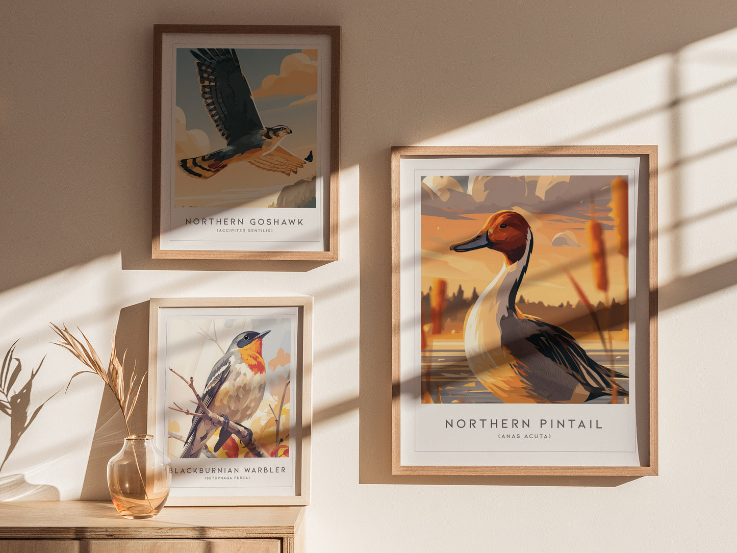 Northern Pintail, Anas acuta Poster | Elegant Waterfowl Bird Wall Art — styled in a modern interior