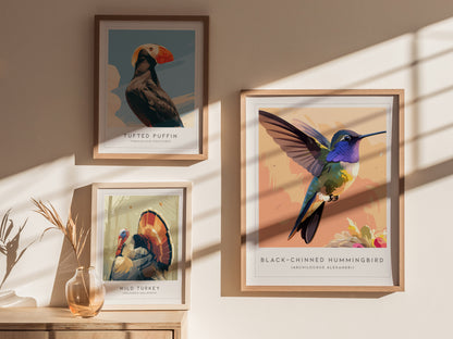 Black-chinned Hummingbird, Archilochus alexandri Poster | Jeweled Bird Wildlife Print Wall Art — styled in a modern interior
