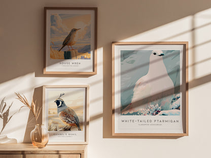 White-tailed Ptarmigan, Lagopus leucurus Poster | Alpine Bird Wall Art — styled in a modern interior