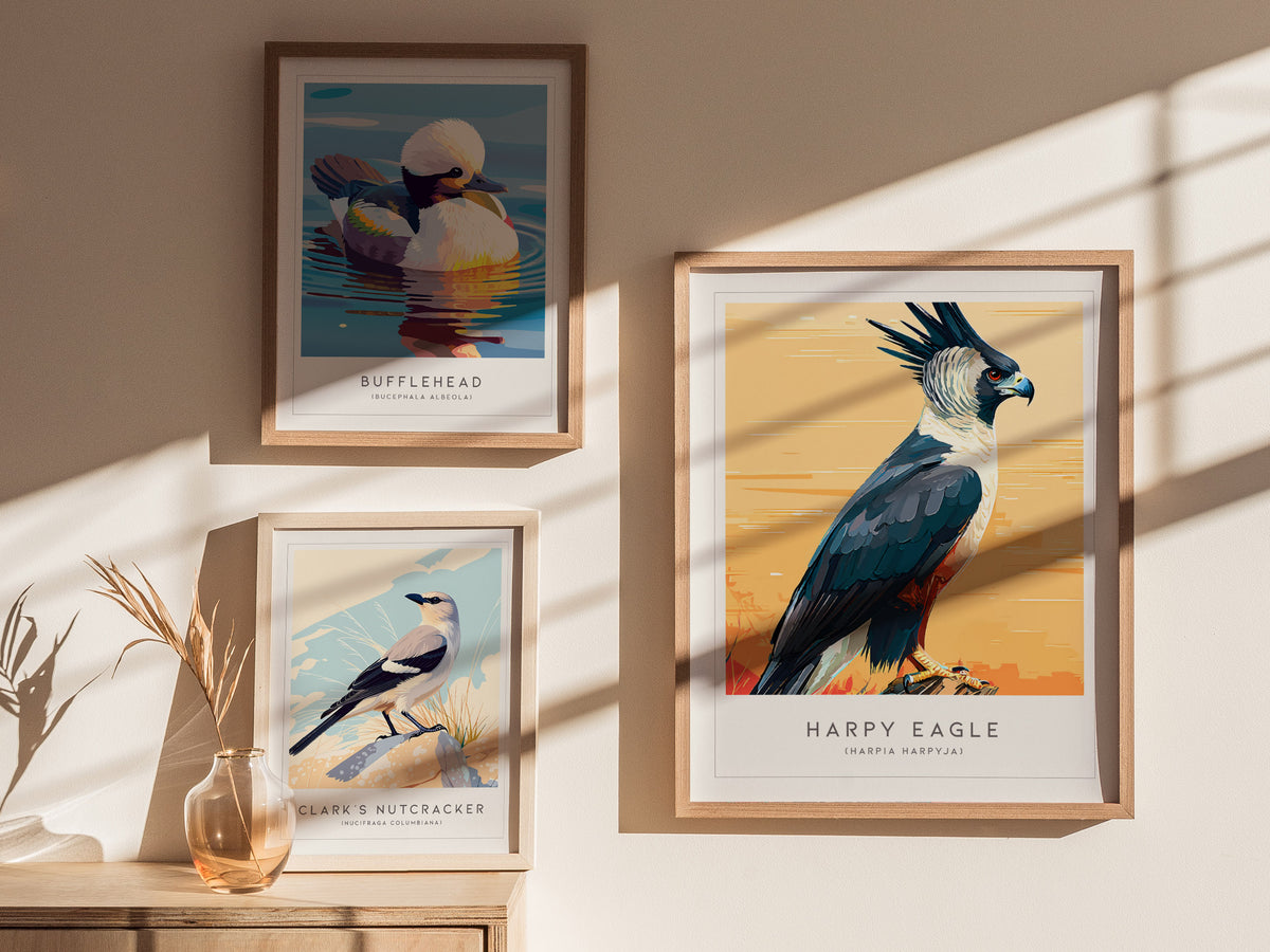 Harpy Eagle, Harpia harpyja Poster | Majestic Raptor Bird Wall Art — styled in a modern interior
