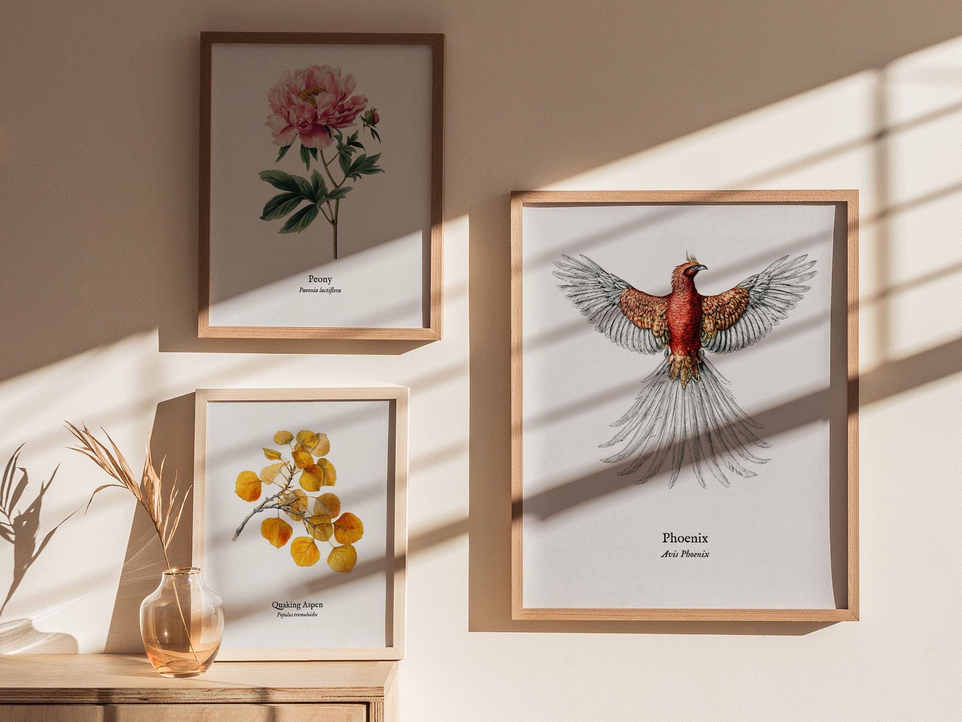 Phoenix Poster | Vintage Avis Phoenix Zoological Illustration Wall Art — styled in a modern interior
