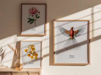Phoenix Poster | Vintage Avis Phoenix Zoological Illustration Wall Art — styled in a modern interior