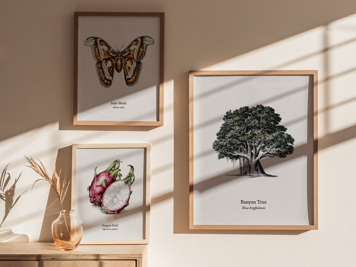 Banyan Tree Poster | Vintage Ficus benghalensis Botanical Illustration Wall Art — styled in a modern interior