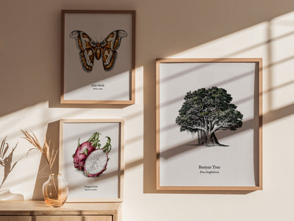 Banyan Tree Poster | Vintage Ficus benghalensis Botanical Illustration Wall Art — styled in a modern interior