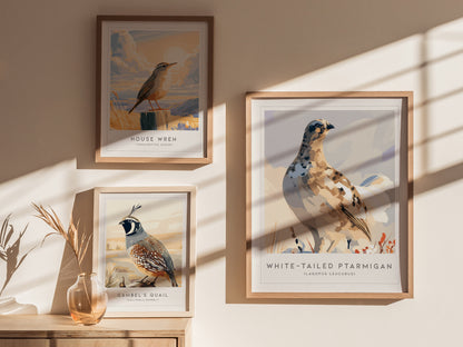 White-tailed Ptarmigan, Lagopus leucurus Poster | Alpine Bird Wall Art — styled in a modern interior