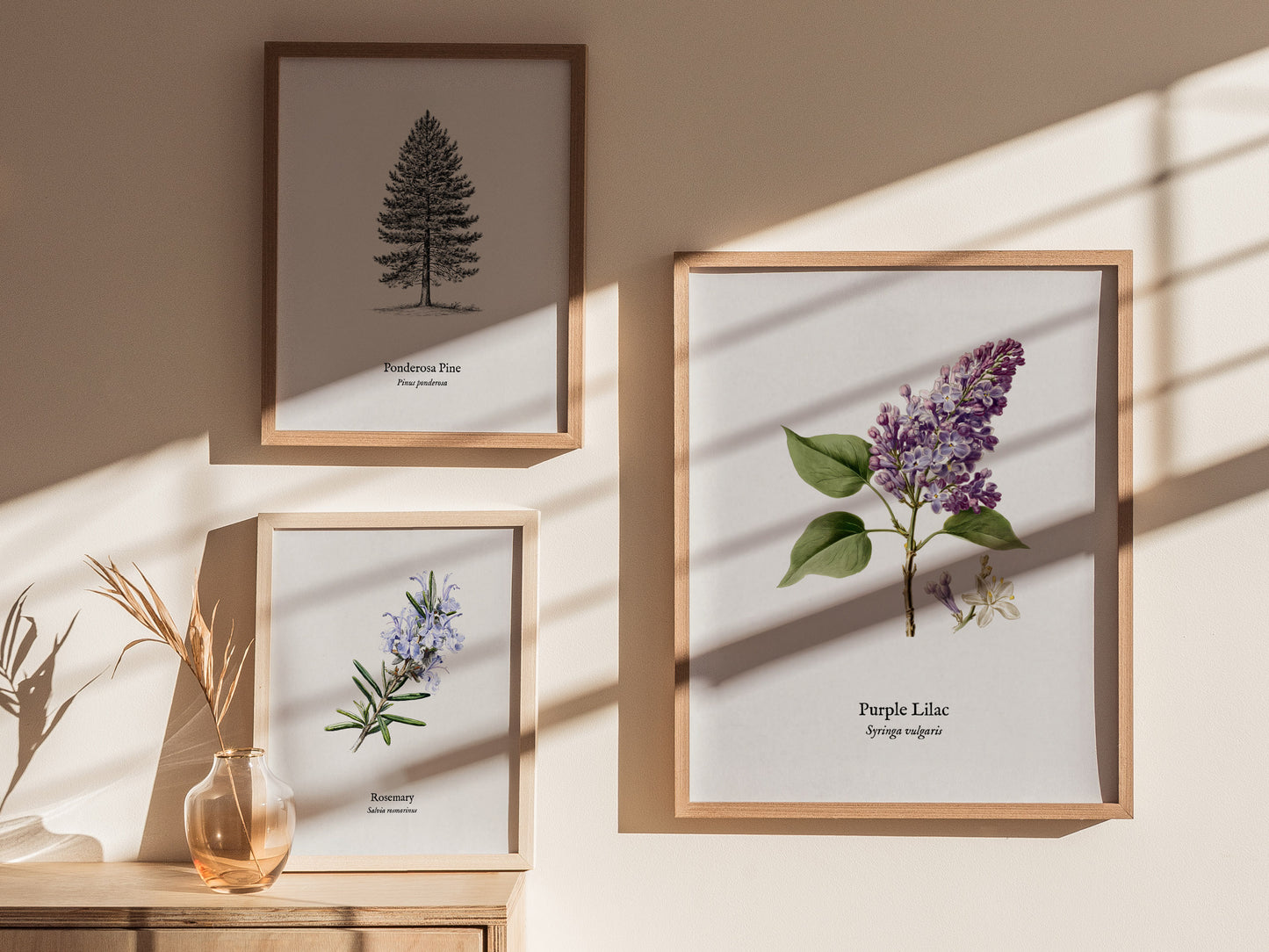Purple Lilac Poster | Vintage Syringa vulgaris Botanical Illustration Wall Art — styled in a modern interior
