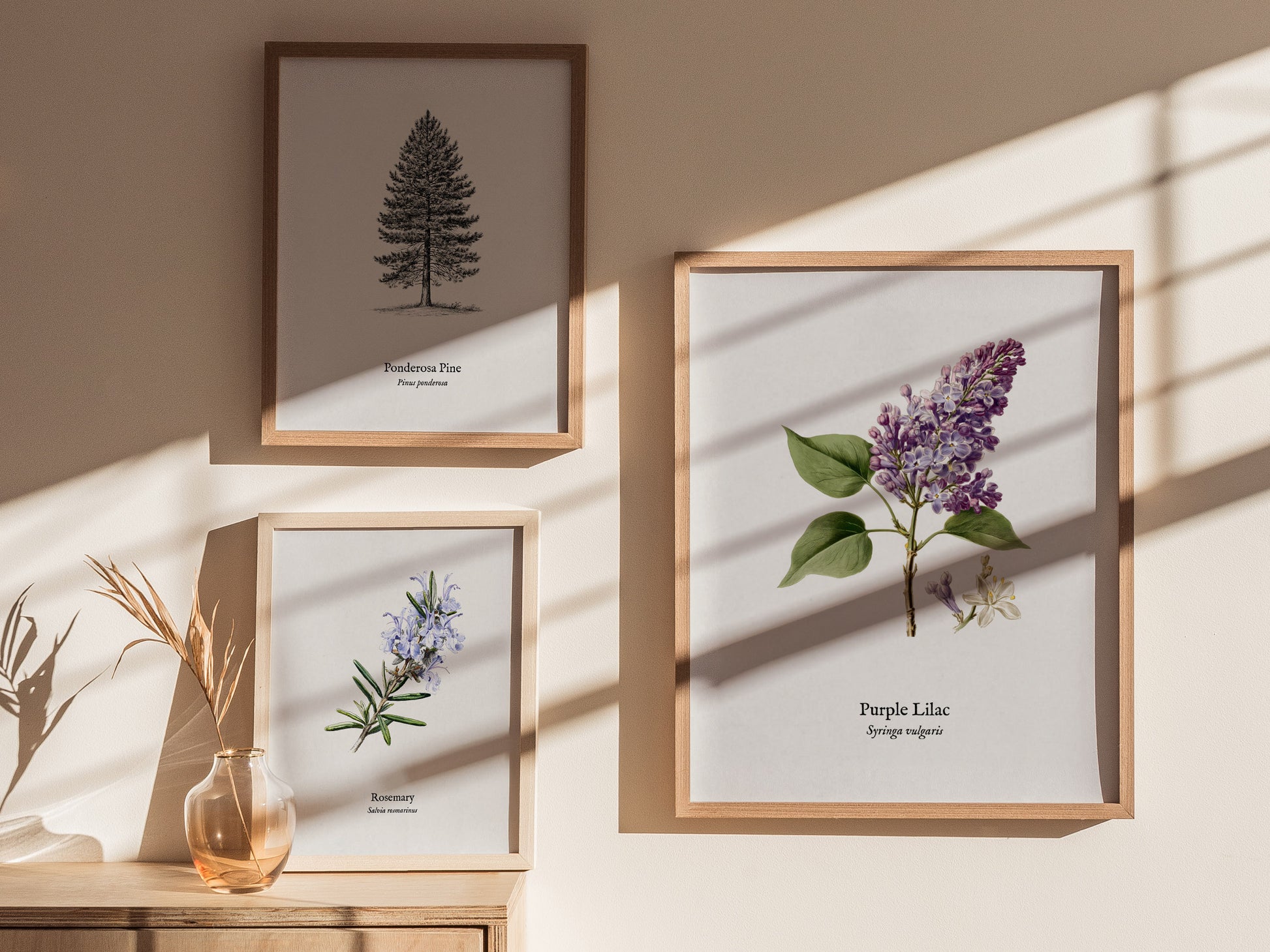 Purple Lilac Poster | Vintage Syringa vulgaris Botanical Illustration Wall Art — styled in a modern interior