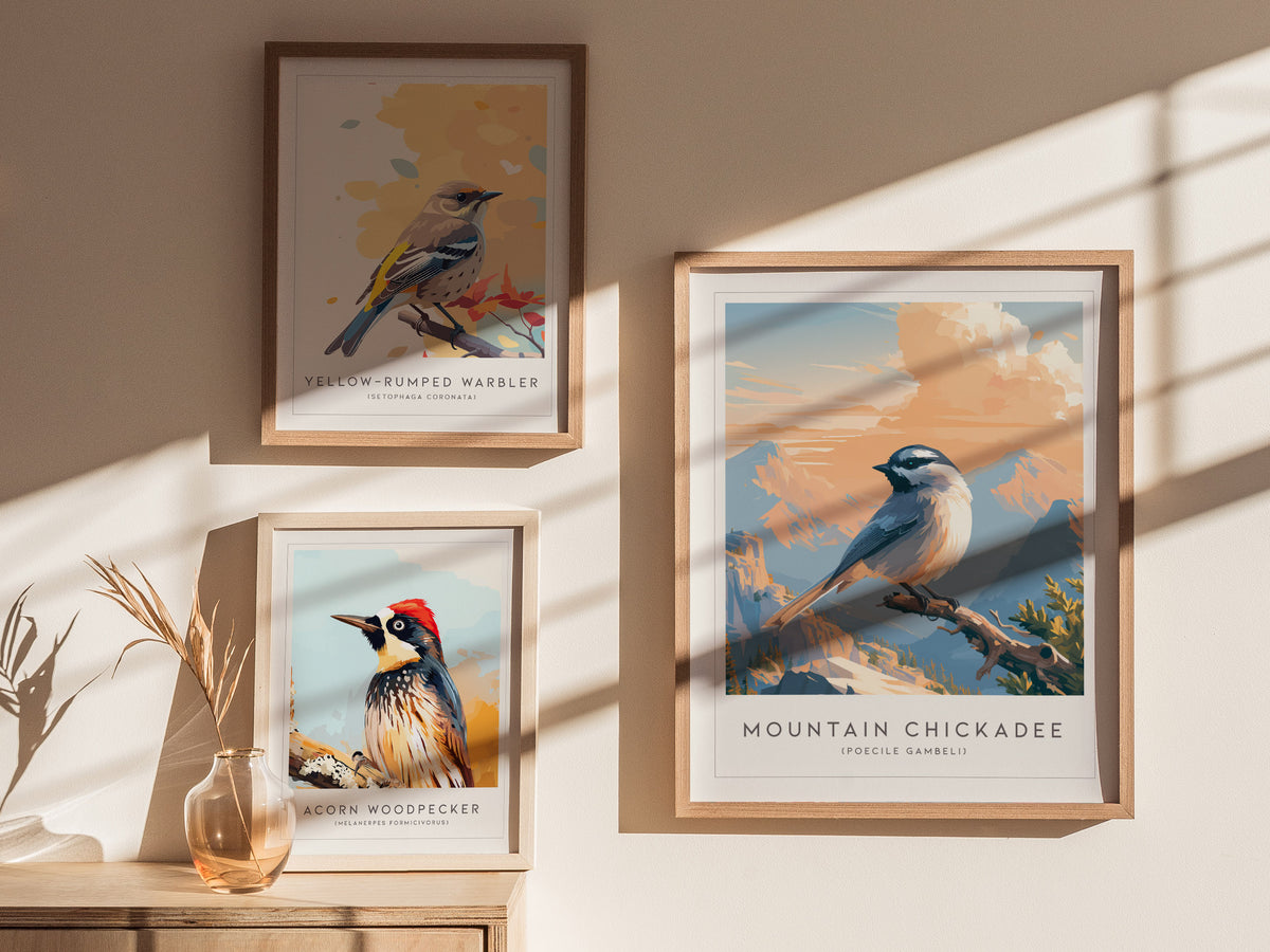 Mountain Chickadee, Poecile gambeli Poster | Bold Birder Gift Nature Wall Art — styled in a modern interior