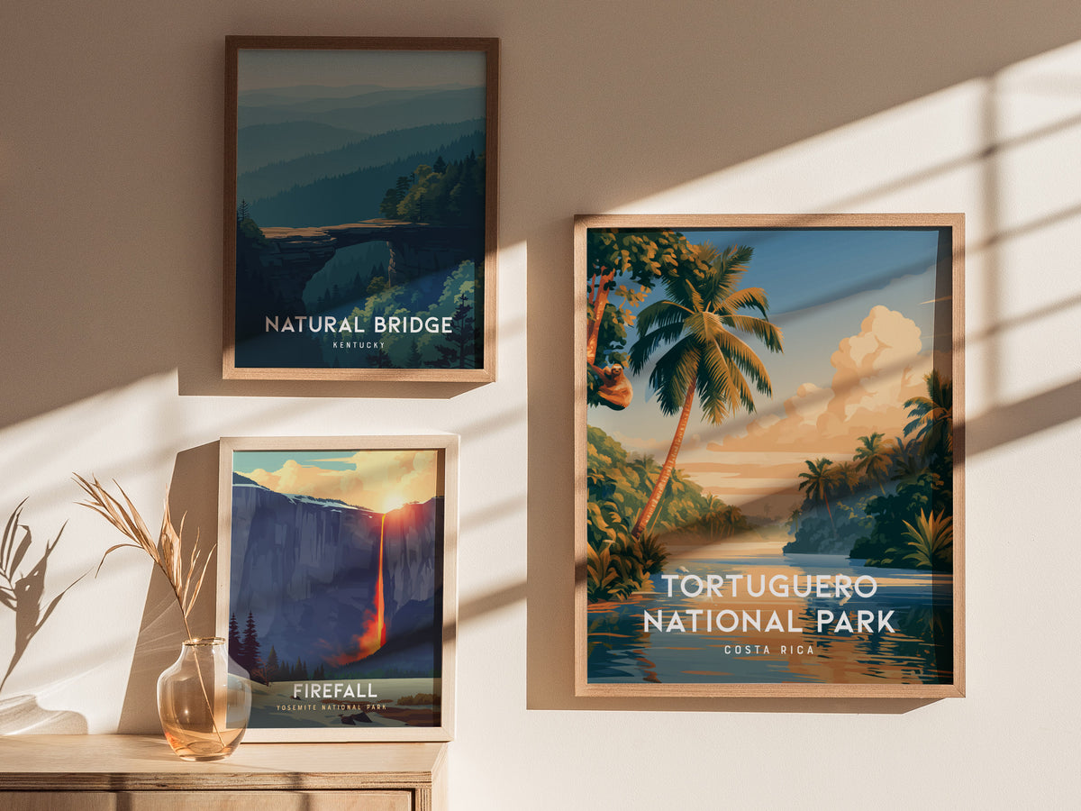 Tortuguero National Park, Costa Rica Poster | Sea Turtle & Rainforest Canal Wall Art — styled in a modern interior