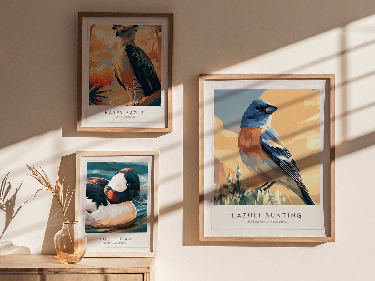 Lazuli Bunting, Passerina amoena Poster | Vibrant Songbird Nature Poster Wall Art — styled in a modern interior
