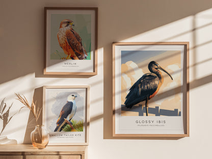 Glossy Ibis Poster | Iridescent Wading Bird Nature Wall Art — styled in a modern interior