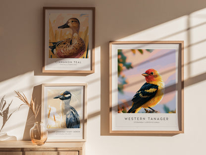Western Tanager, Piranga ludoviciana Poster | Vibrant Songbird Nature Wall Art — styled in a modern interior