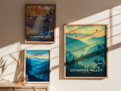 Three framed posters are displayed on a sunlit wall, featuring Cuyahoga Valley National Park, Brandywine Falls, and the Synchronous Fireflies. A vase with dried grass sits on a wooden shelf.