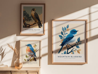 Mountain Bluebird Poster | Vintage Bird Wall Art Print