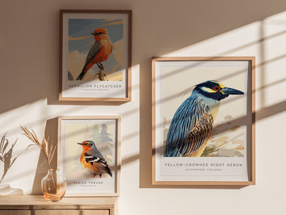 Yellow-crowned Night Heron, Nyctanassa violacea Poster | Elegant Wading Bird Wall Art — styled in a modern interior