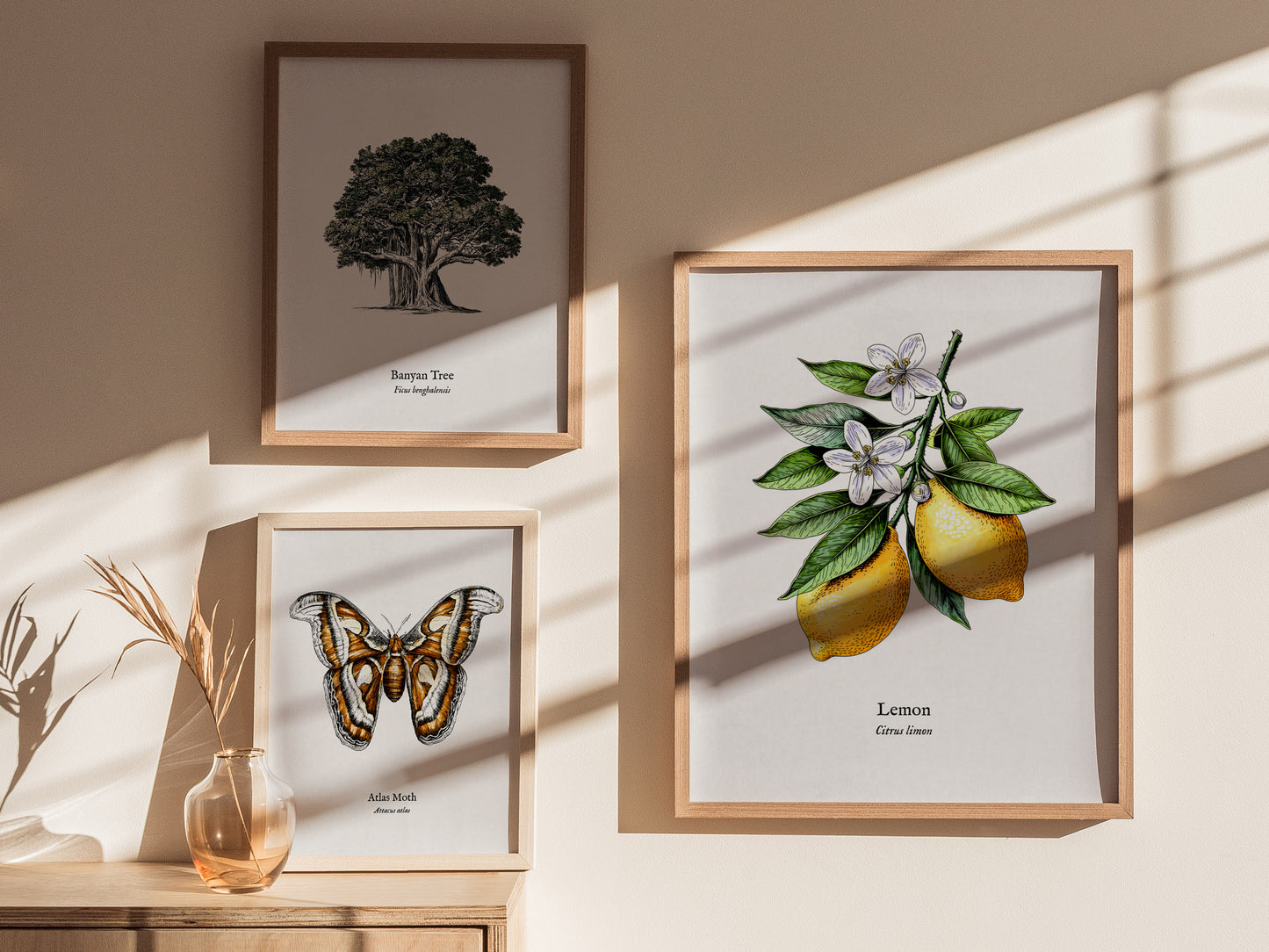 Botanical Lemon Poster | Citrus x Limon Framed Wall Art — styled in a modern interior