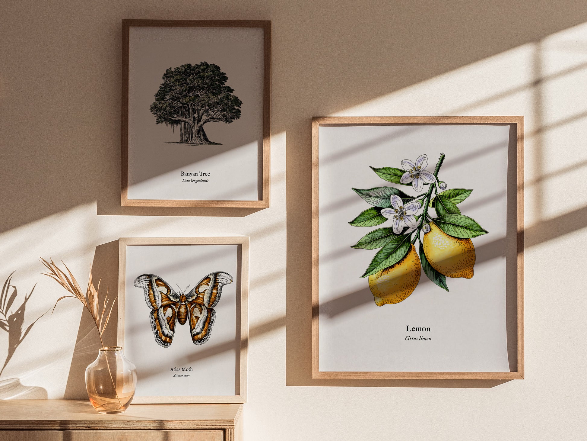 Botanical Lemon Poster | Citrus x Limon Framed Wall Art — styled in a modern interior