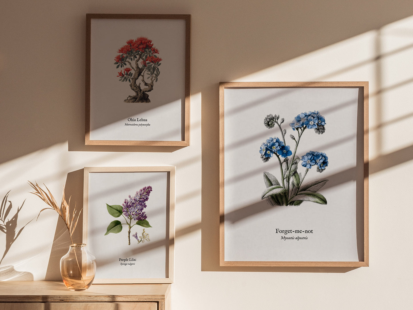 Forget-Me-Not Poster | Vintage Myosotis Alpestris Botanical Illustration Wall Art — styled in a modern interior