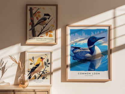 Common Loon Poster | Minnesota State Bird Wall Art | Framed or Unframed