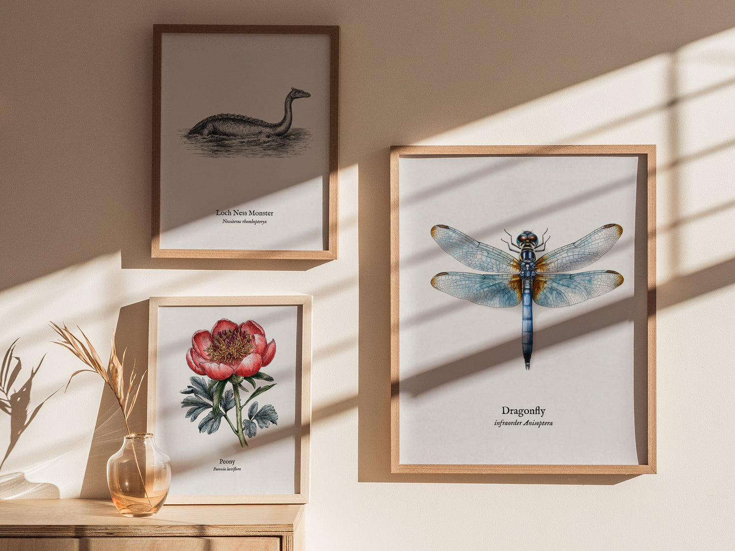 Dragonfly Poster | Vintage Anisoptera Zoological Illustration Wall Art — styled in a modern interior