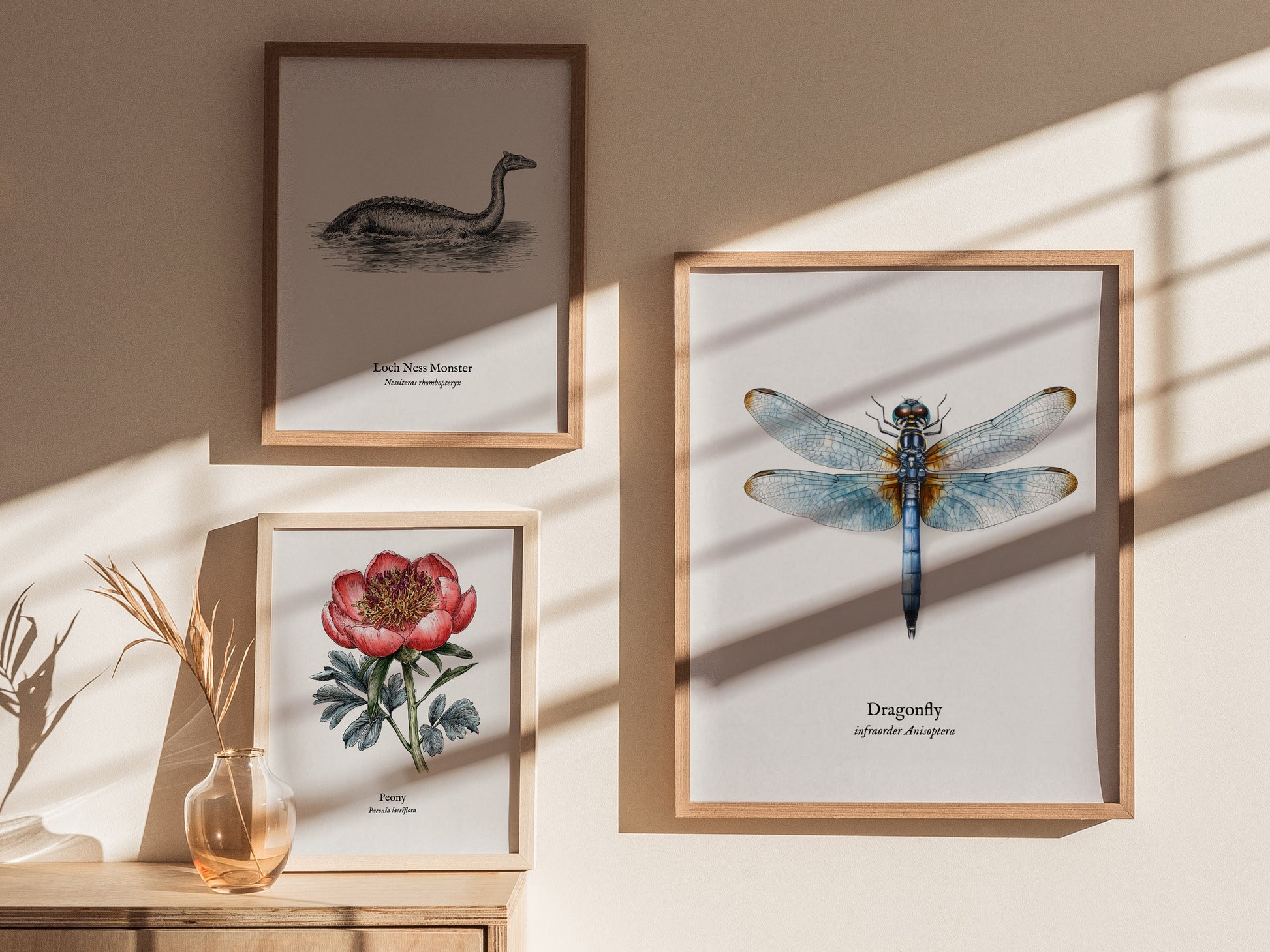 Dragonfly Poster | Vintage Anisoptera Zoological Illustration Wall Art — styled in a modern interior