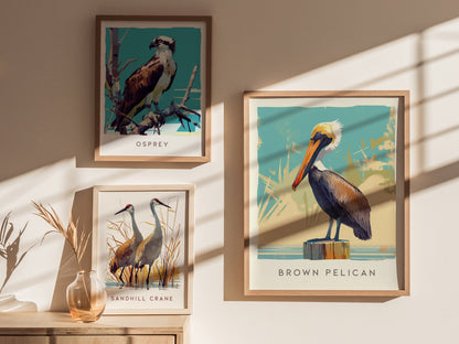 Three framed wildlife posters are displayed on a wall, featuring an osprey, sandhill cranes, and a brown pelican, with sunlight casting soft shadows across them.