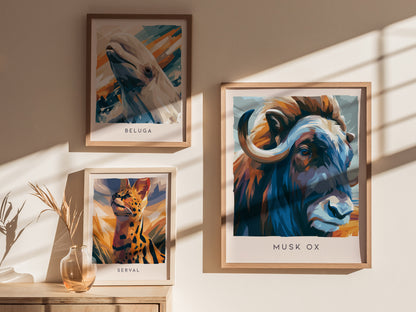 Musk Ox, Ovibos moschatus Poster | Arctic Tundra Wildlife Wall Art — styled in a modern interior