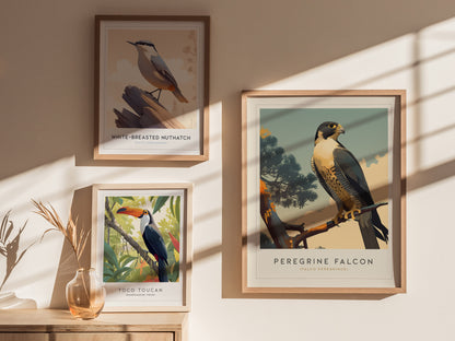 Peregrine Falcon Poster | Modern Audubon Bird of Prey Wall Art Print