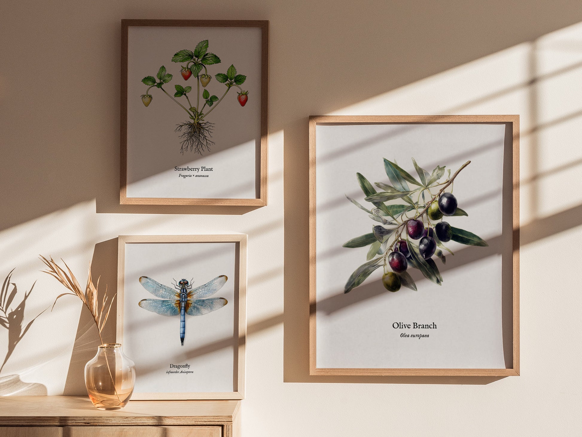 Olive Branch Poster | Vintage Olea europaea Botanical Illustration Wall Art — styled in a modern interior