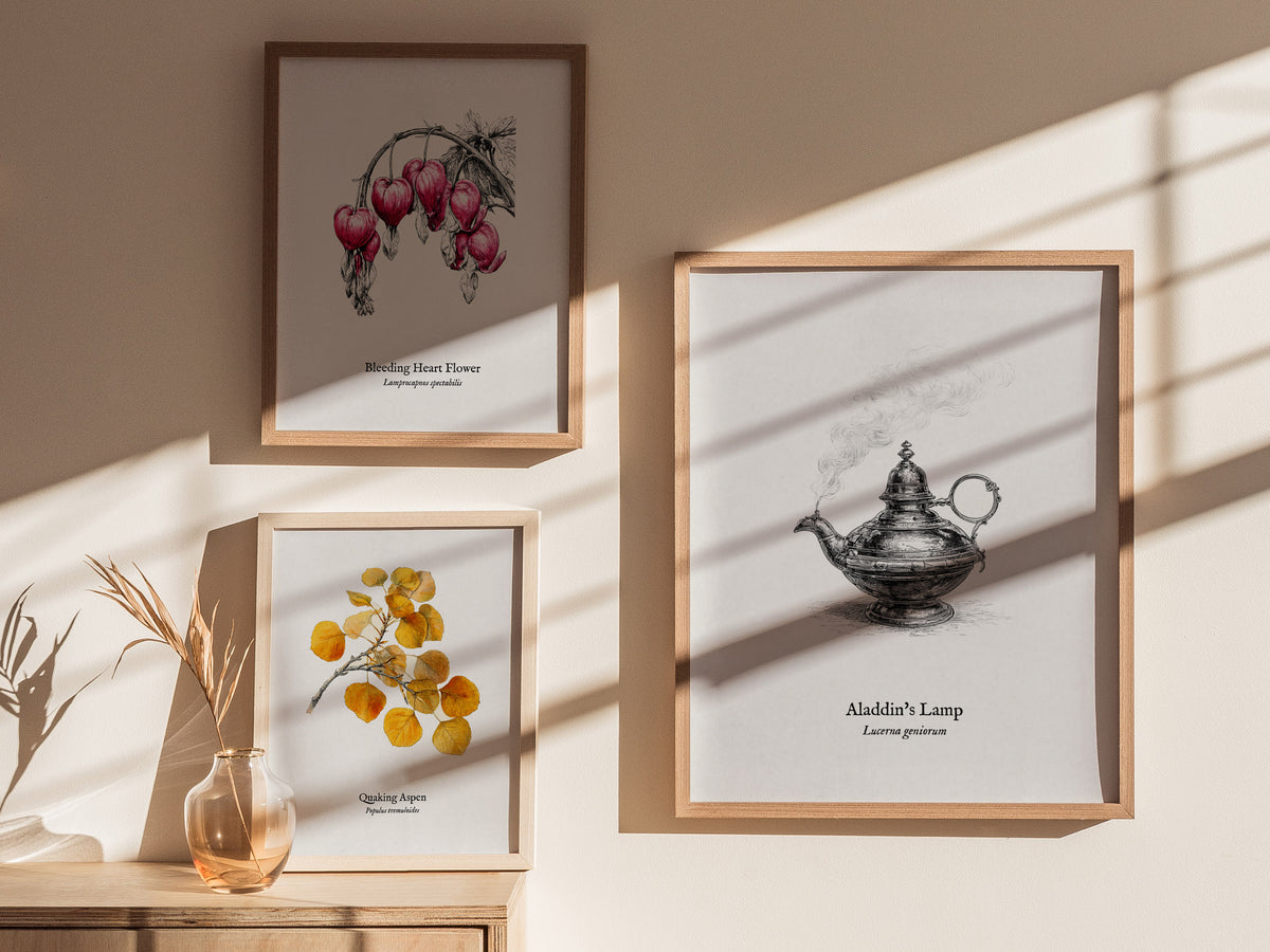 Aladdin's Lamp Poster | Lucerna Geniorum Pen and Ink Print Vintage Scientific Illustration Wall Art — styled in a modern inte