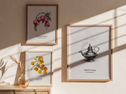 Aladdin's Lamp Poster | Lucerna Geniorum Pen and Ink Print Vintage Scientific Illustration Wall Art — styled in a modern inte