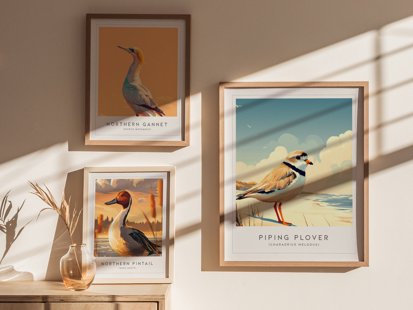 Piping Plover, Charadrius melodus Poster | Shorebird Nature Poster Wall Art — styled in a modern interior