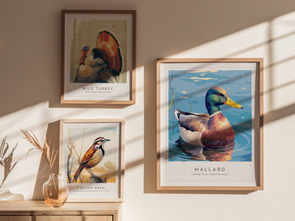 Mallard Poster | Graceful Duck on Tranquil Waters Wall Art — styled in a modern interior
