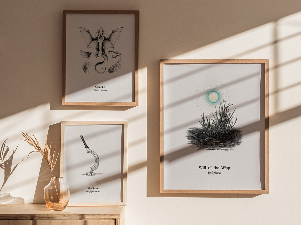 Will-o'-the-Wisp Poster | Ignis Fatuus Pen and Ink Print | Vintage Scientific Illustration Wall Art — styled in a modern inte