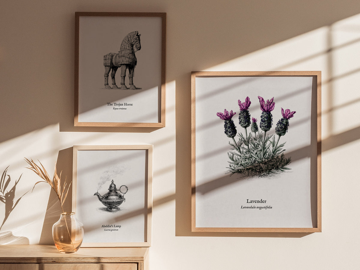 Lavender Poster | Lavandula angustifolia Pen and Ink Print Vintage Botanical Illustration Wall Art — styled in a modern inter